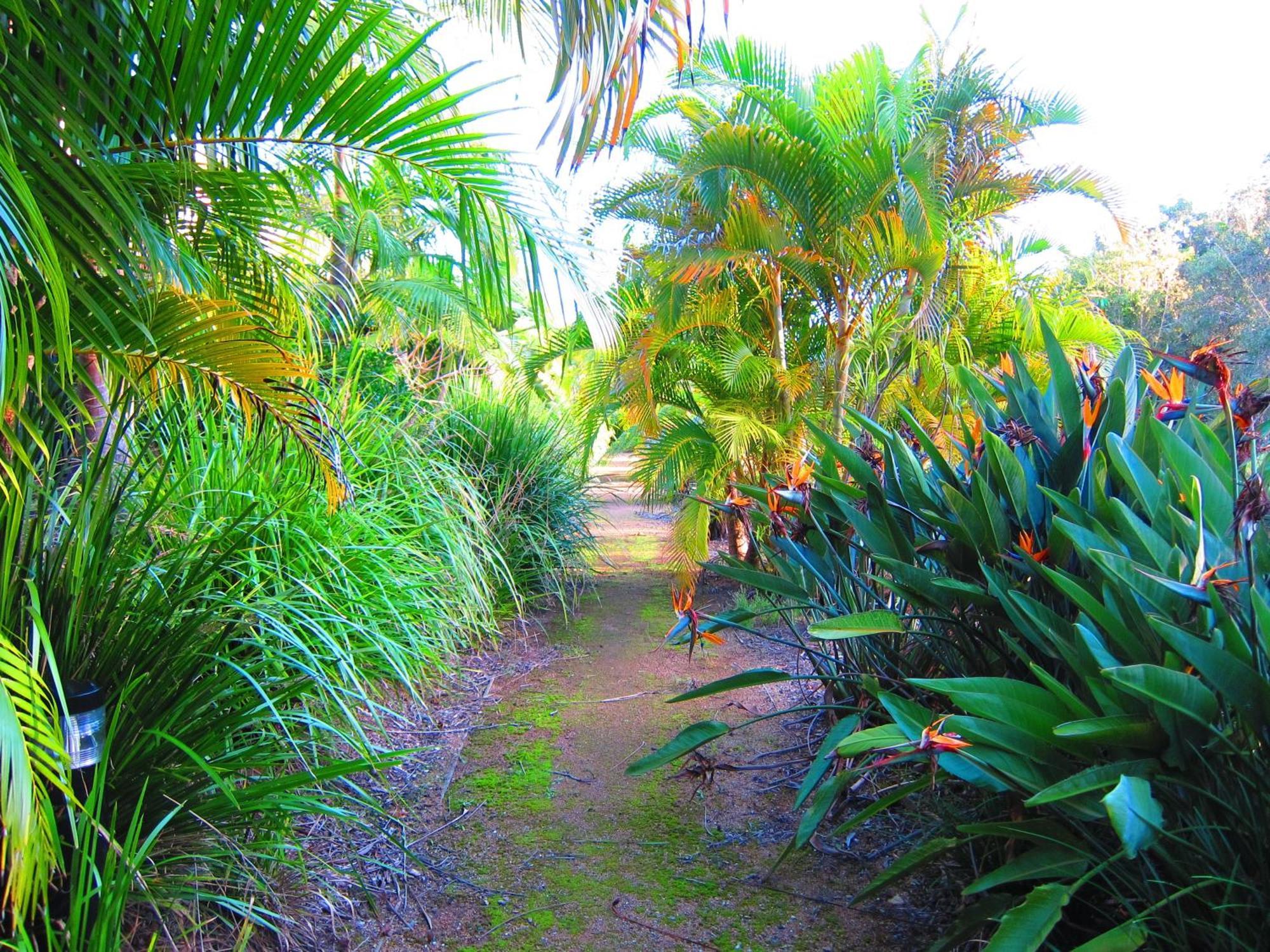 Byron Lakeside Holiday Apartments Byron Bay Esterno foto